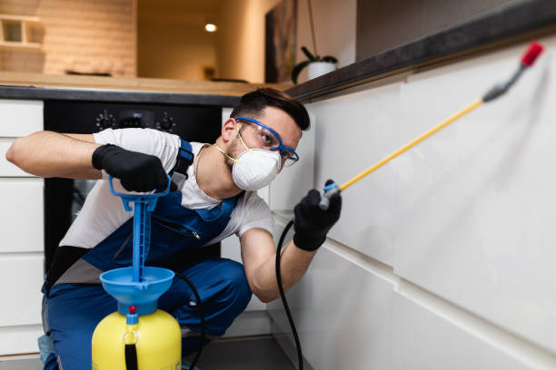 Professional Pest Control in Rollingwood, TX