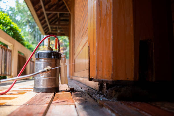 Best Cockroach Control Services  in Rollingwood, TX